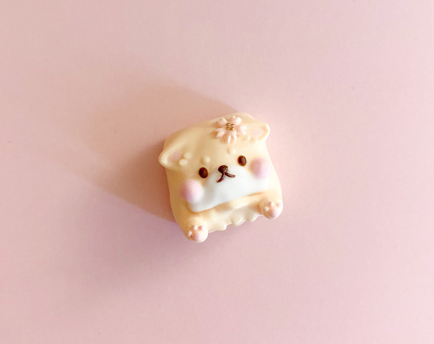 Shiba Mitzu Sakura