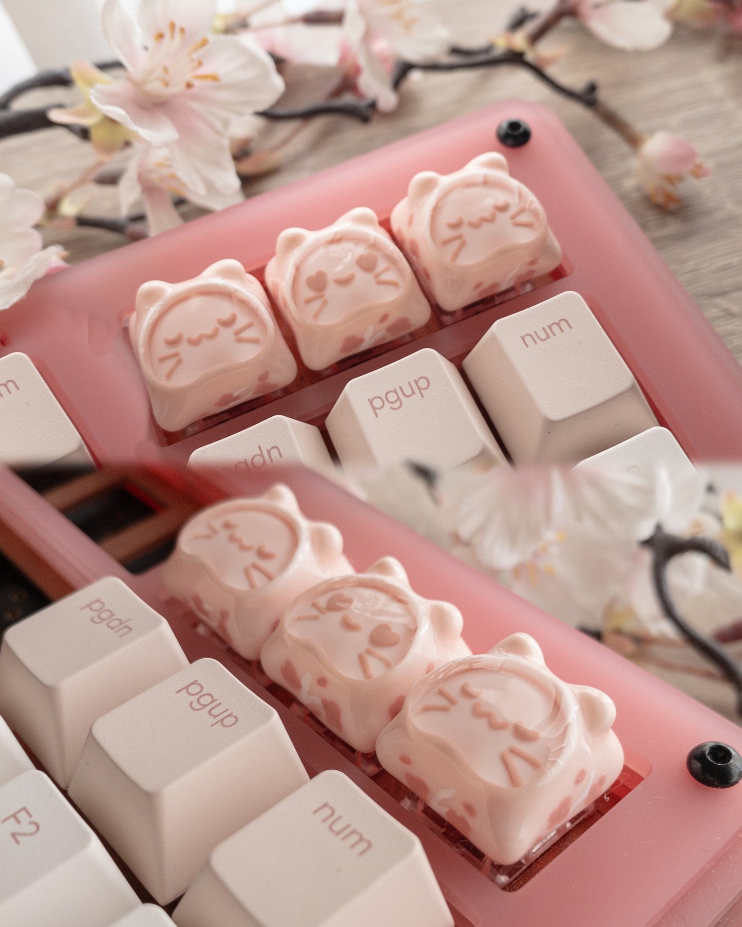 Tsuki - Sakura petals ( Heart eyes )