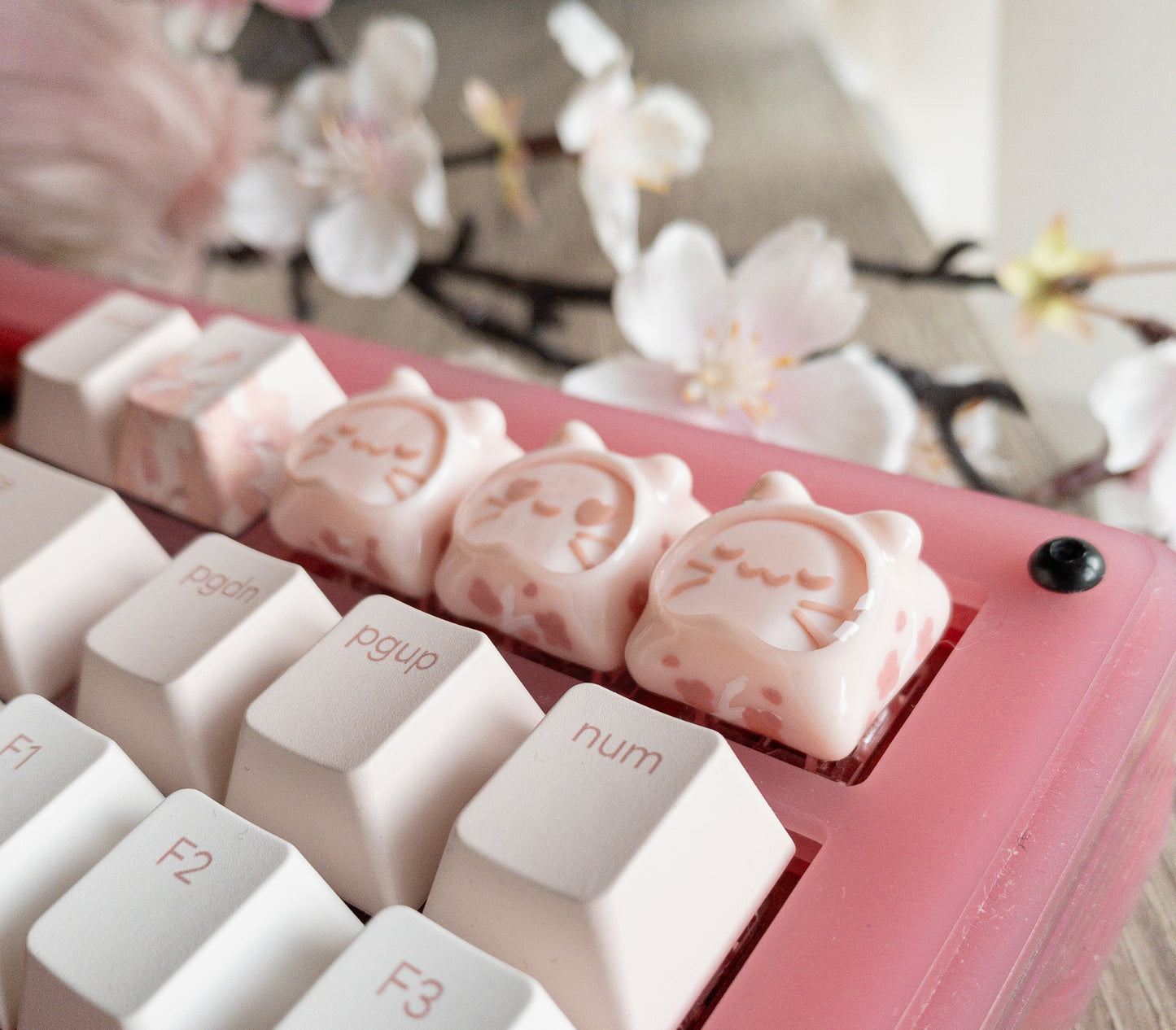Tsuki - Sakura petals ( uwu face )